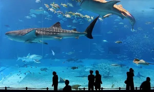 Aquarium de Paris