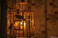 the-game-enlevement-la-cage-a-oiseaux