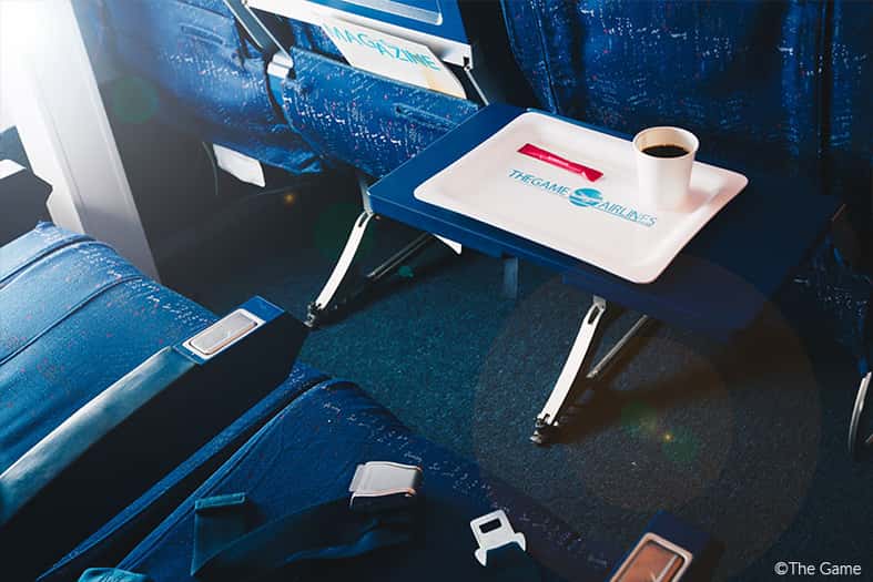 the-game-the-plane-aile-centrale