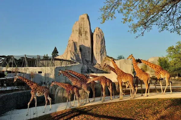 Parc Zoologique de Paris