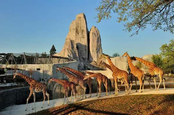 Parc Zoologique de Paris